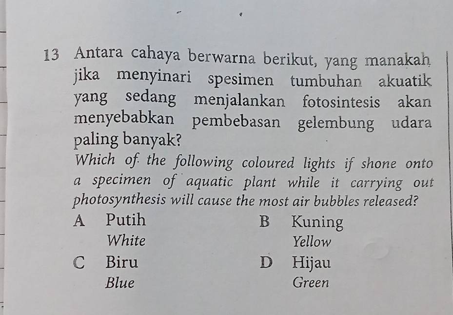 Antara cahaya berwarna berikut, yang manakah
jika menyinari spesimen tumbuhan akuatik
yang sedang menjalankan fotosintesis akan
menyebabkan pembebasan gelembung udara
paling banyak?
Which of the following coloured lights if shone onto
a specimen of aquatic plant while it carrying out
photosynthesis will cause the most air bubbles released?
A Putih B Kuning
White Yellow
C Biru D Hijau
Blue Green