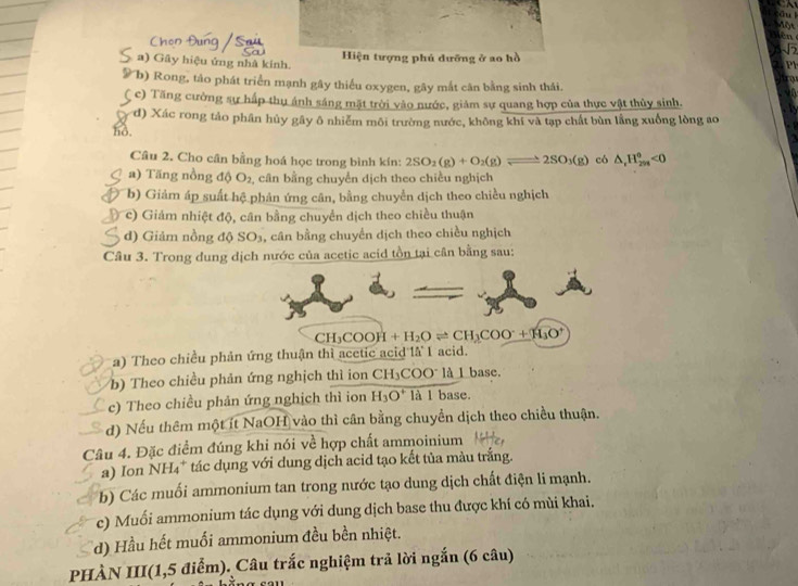 cāu l
Mên Một
sqrt(2)
a) Gây hiệu ứng nhà kính. Hiện tượng phủ dưỡng ở ao hồ
Ph
*b) Rong, tào phát triển mạnh gây thiếu oxygen, gây mắt căn bằng sinh thái.
( c) Tăng cường sự hấp thụ ánh sáng mặt trời vào nước, giảm sự quang hợp của thực vật thủy sinh.
d) Xác rong tảo phân hủy gây ô nhiễm môi trường nước, không khí và tạp chất bùn lầng xuống lòng ao
no. có △ _rH_(298)^0<0</tex>
Câu 2. Cho cân bằng hoá học trong bình kín: 2SO_2(g)+O_2(g)leftharpoons 2SO_3(g)
a) Tăng nồng độ O_2 ,  cân bằng chuyển dịch theo chiều nghịch
b) Giảm áp suất hệ phản ứng cân, bằng chuyển dịch theo chiều nghịch
c) Giám nhiệt độ, cân bằng chuyển dịch theo chiều thuận
d) Giảm nồng độ SO_3 , cân bằng chuyển dịch theo chiều nghịch
Câu 3. Trong dung dịch nước của acetic acid tồn tại cân bằng sau:
CH_3COOH+H_2Oleftharpoons CH_3COO^-+H_3O^+
a) Theo chiều phản ứng thuận thì acetic acid là 1 acid.
(b) Theo chiều phản ứng nghịch thì ion CH₃COO* là 1 base.
c) Theo chiều phản ứng nghịch thì ion H_3O^+ là l base.
d) Nếu thêm một ít NaOH vào thì cân bằng chuyển dịch theo chiều thuận.
Câu 4. Đặc điểm đúng khi nói về hợp chất ammoinium
a) Ion NH₄* tác dụng với dung dịch acid tạo kết tủa màu trắng.
b) Các muối ammonium tan trong nước tạo dung dịch chất điện li mạnh.
c) Muối ammonium tác dụng với dung dịch base thu được khí có mùi khai.
d) Hầu hết muối ammonium đều bền nhiệt.
PHÀN III(1,5 điểm). Câu trắc nghiệm trả lời ngắn (6 câu)