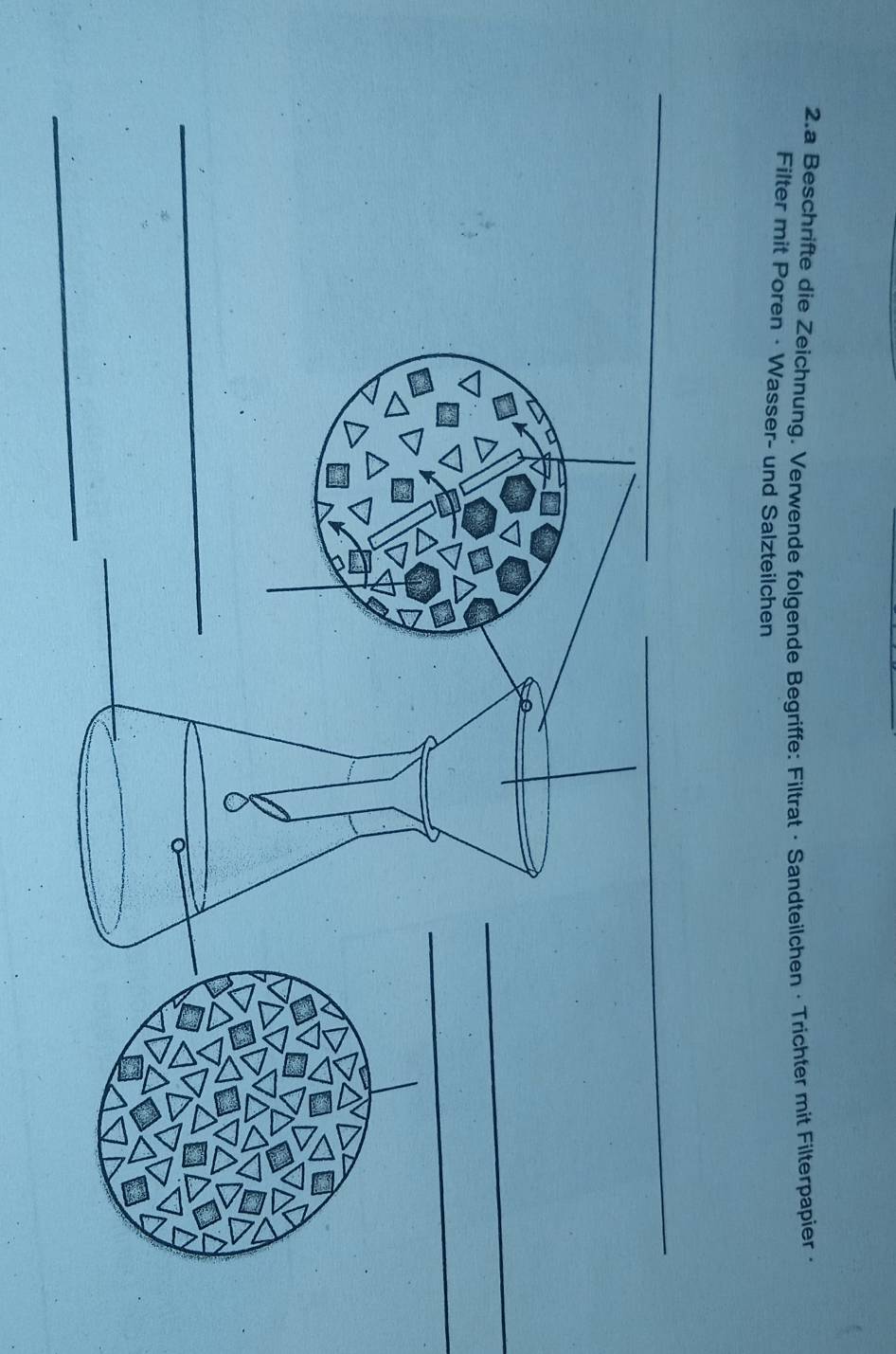 a Beschrifte die Zeichnung. Verwende folgende Begriffe: Filtrat · Sandteilchen · Trichter mit Filterpapier · 
Filter mit Poren · Wasser- und Salzteilchen 
_ 
_