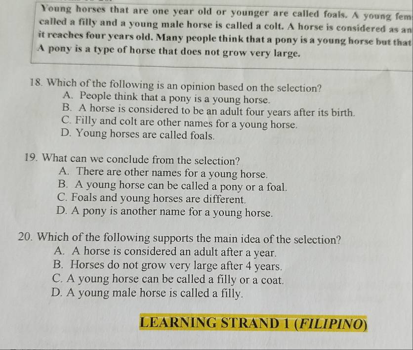 Young horses that are one year old or younger are called foals. A young fem
called a filly and a young male horse is called a colt. A horse is considered as an
it reaches four years old. Many people think that a pony is a young horse but that
A pony is a type of horse that does not grow very large.
18. Which of the following is an opinion based on the selection?
A. People think that a pony is a young horse.
B. A horse is considered to be an adult four years after its birth.
C. Filly and colt are other names for a young horse.
D. Young horses are called foals.
19. What can we conclude from the selection?
A. There are other names for a young horse.
B. A young horse can be called a pony or a foal.
C. Foals and young horses are different.
D. A pony is another name for a young horse.
20. Which of the following supports the main idea of the selection?
A. A horse is considered an adult after a year.
B. Horses do not grow very large after 4 years.
C. A young horse can be called a filly or a coat.
D. A young male horse is called a filly.
LEARNING STRAND 1 (FILIPINØ)