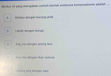 Berikut ini yang merupakan contoh bentuk simbiosis komensalisme adalah ....
A Kerbau dengan burung jalak
B Lebah dengan bunga
C Ika hiu dengan anjing laut
D İkan hiu dengan ikan remora
E Cacing pita dengan sapi