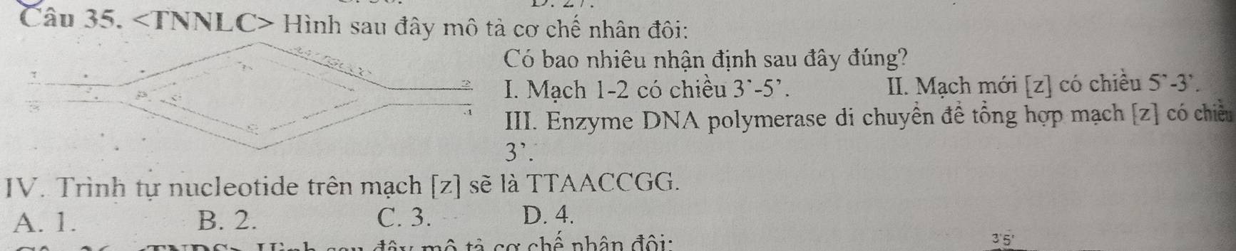 Hình sau đây mô tả cơ chế nhân đôi:
Có bao nhiêu nhận định sau đây đúng?
I. Mạch 1-2 có chiều 3^.-5^,. II. Mạch mới [z] có chiều 5'-3-3^,.
III. Enzyme DNA polymerase di chuyền đề tổng hợp mạch [z] có chiều
IV. Trình tự nucleotide trên mạch [z] sẽ là TTAACCGG.
A. 1. B. 2. C. 3. D. 4.
* mô tả cơ chế nhân đội: 3'5'