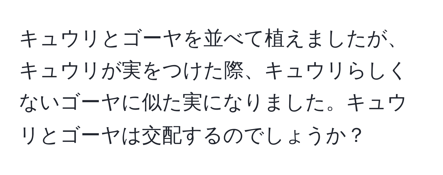 キュウリとゴーヤを並べて植えましたが、キュウリが実をつけた際、キュウリらしくないゴーヤに似た実になりました。キュウリとゴーヤは交配するのでしょうか？