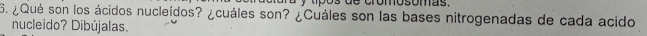 a y tipos de cromosomas. 
S. ¿Qué son los ácidos nucleidos? ¿cuáles son? ¿Cuáles son las bases nitrogenadas de cada acido 
nucleído? Dibújalas.