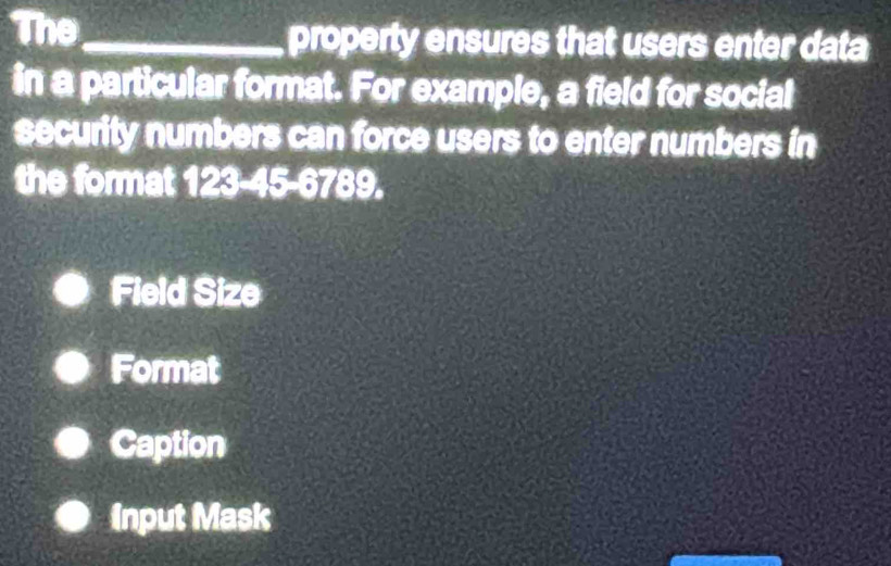 The_ property ensures that users enter data
in a particular format. For example, a field for social
security numbers can force users to enter numbers in
the format 123-45-6789.
Field Size
Format
Caption
Input Mask