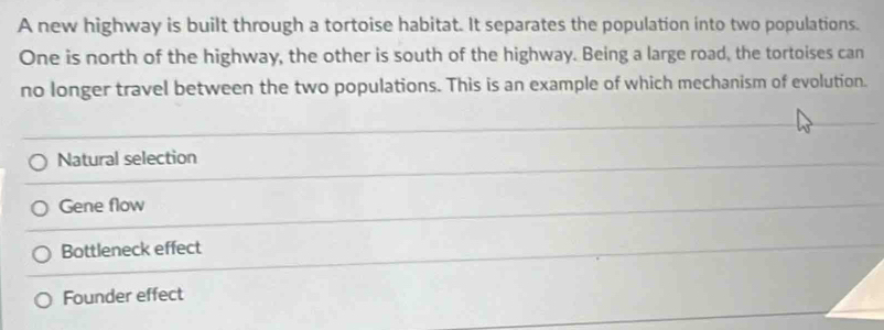 A new highway is built through a tortoise habitat. It separates the population into two populations.
One is north of the highway, the other is south of the highway. Being a large road, the tortoises can
no longer travel between the two populations. This is an example of which mechanism of evolution.
Natural selection
Gene flow
Bottleneck effect
Founder effect