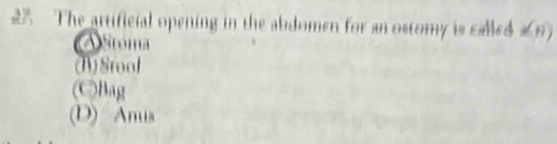 The artificial opening in the abdomen for an ostomy is called 2 5
Stoma
(D)Srool
(C)Bag
(D) Anus