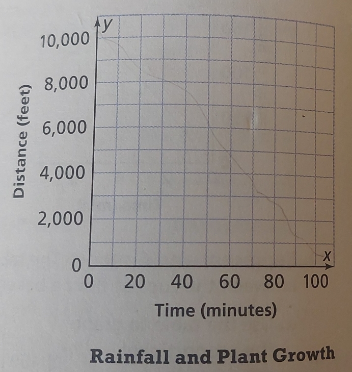 Rainfall and Plant Growth