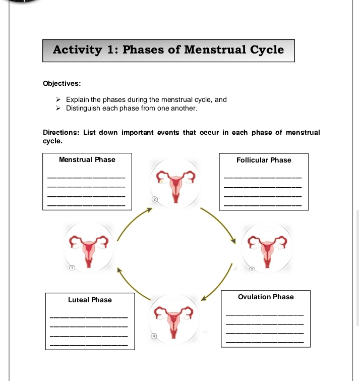 Activity 1: Phases of Menstrual Cycle 
Objectives: 
Explain the phases during the menstrual cycle, and 
Distinguish each phase from one another. 
Directions: List down important events that occur in each phase of menstrual