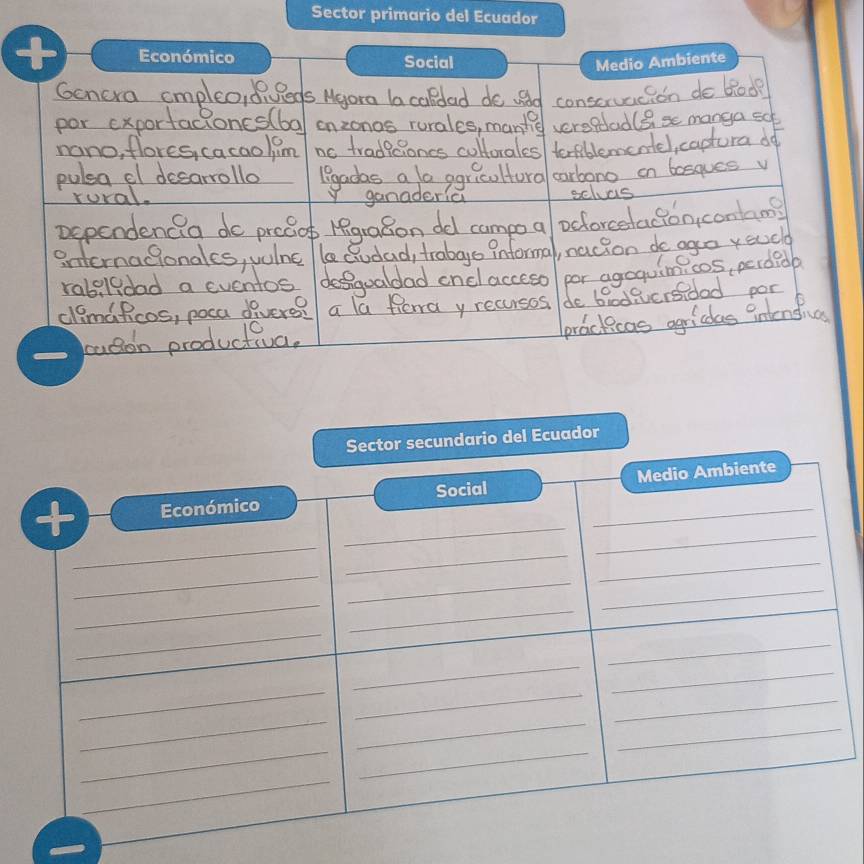 Sector primario del Ecuador
Económico Social
Medio Ambiente
D