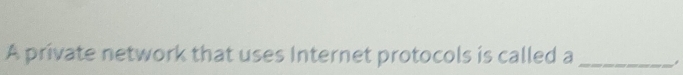 A private network that uses Internet protocols is called a_