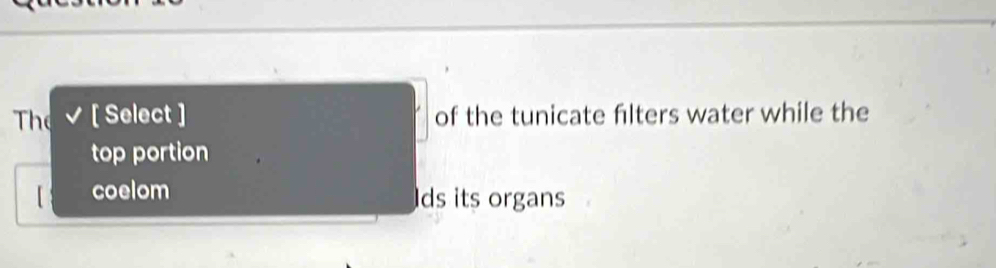 The [ Select ] of the tunicate flters water while the
top portion
【 coelom
ds its organs