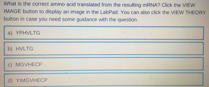 What is the correct amino acid translated from the resulting mRNA? Click the VIEW
IMAGE button to display an image in the LabPad. You can also click the VIEW THEORY
button in case you need some guidance with the question.
a) YPHVLTG
b) HVLTG
c) MGVHECP
d) YIMGVHECP