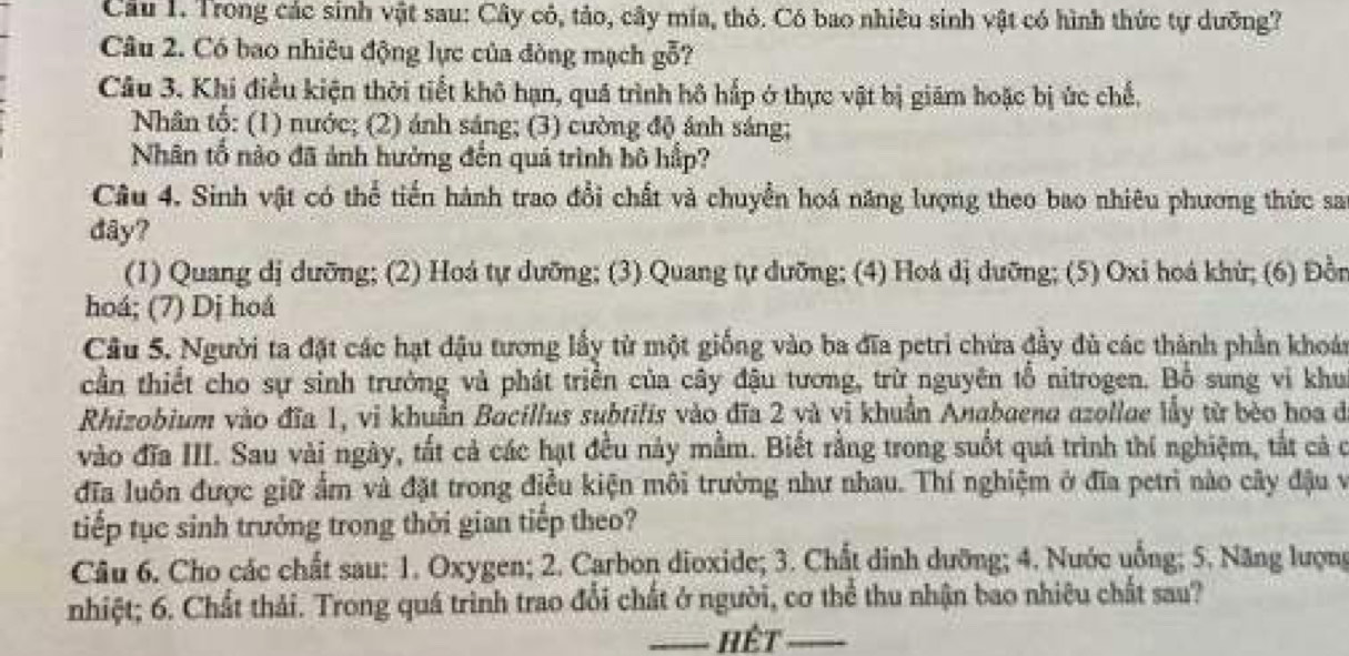 Trong các sinh vật sau: Cây cô, tảo, cây mía, thỏ. Có bao nhiêu sinh vật có hình thức tự dưỡng?
Câu 2. Có bao nhiêu động lực của đòng mạch goverline overline overline O
Câu 3. Khi điều kiện thời tiết khô hạn, quá trình hô hấp ở thực vật bị giám hoặc bị ức chế,
Nhân tổ: (1) nước; (2) ánh sáng; (3) cường độ ánh sáng;
Nhân tổ nào đã ảnh hưởng đến quá trình bô hấp?
Câu 4. Sinh vật có thể tiến hành trao đổi chất và chuyển hoá năng lượng theo bao nhiêu phương thức sa
đây?
(1) Quang dị dưỡng; (2) Hoá tự dưỡng; (3) Quang tự dưỡng; (4) Hoá dị dưỡng; (5) Oxi hoá khử; (6) Đồn
hoá; (7) Dj hoá
Câu 5. Người ta đặt các hạt đậu tương lầy từ một giống vào ba đĩa petri chứa đầy đủ các thành phần khoán
cần thiết cho sự sinh trưởng và phát triển của cây đậu tương, trừ nguyên tổ nitrogen. Bồ sung vi khu
Rhizobium vào đĩa 1, vi khuẩn Bacillus subtilis vào đĩa 2 và vi khuẩn Anabaena azollae lầy từ bèo hoa đ
vào đĩa III. Sau vài ngày, tất cả các hạt đều này mẫm. Biết rằng trong suốt quả trình thí nghiệm, tắt cả c
đĩa luôn được giữ ẩm và đặt trong điều kiện môi trường như nhau. Thí nghiệm ở đĩa petri nào cây đậu v
tiếp tục sinh trưởng trong thời gian tiếp theo?
Câu 6. Cho các chất sau: 1. Oxygen; 2. Carbon dioxide; 3. Chất dinh dưỡng; 4. Nước uồng; 5. Năng lượng
nhiệt; 6. Chất thải. Trong quá trình trao đổi chất ở người, cơ thể thu nhận bao nhiêu chất sau?
_hệt_