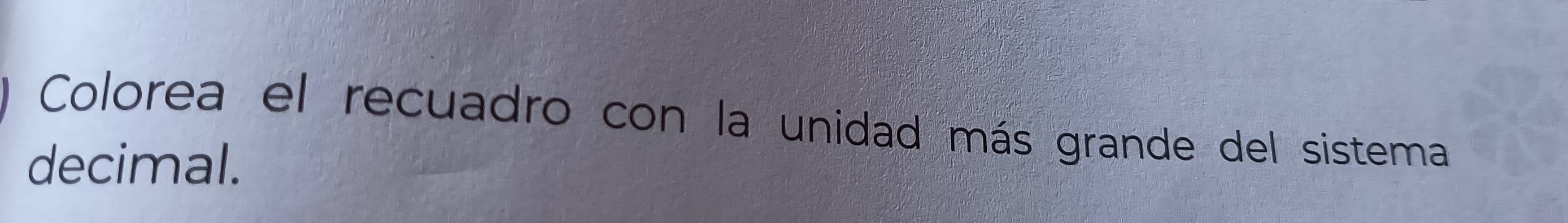 Colorea el recuadro con la unidad más grande del sistema 
decimal.