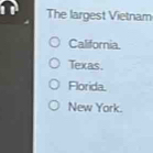 The largest Vietnam
California.
Texas.
Florida.
New York.