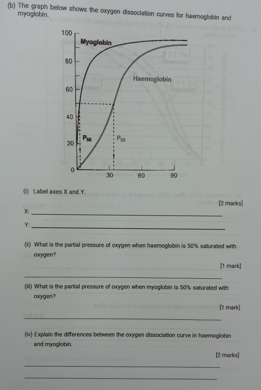 The graph below shows the oxygen dissociation curves for haemoglobin and
myoglobin.
(i) Label axes X and Y.
[2 marks]
X:_
Y:_
(ii) What is the partial pressure of oxygen when haemoglobin is 50% saturated with
oxygen?
[1 mark]
_
(iii) What is the partial pressure of oxygen when myoglobin is 50% saturated with
oxygen?
[1 mark]
_
(iv) Explain the differences between the oxygen dissociation curve in haemoglobin
and myoglobin.
[2 marks]
_
_