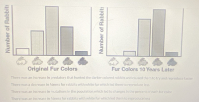 There was an increase in predators that hunted the darker colored rabbits and caused them to try and reproduce faster
Theee d c re ae in fess for rab b ts with w hi e u r w l em to rn ro d
There was an increase in mutations in the population which led to changes in the percent of each fur colsr
There was an increase in fitness for rabbits with white fur which led them to reproduce less