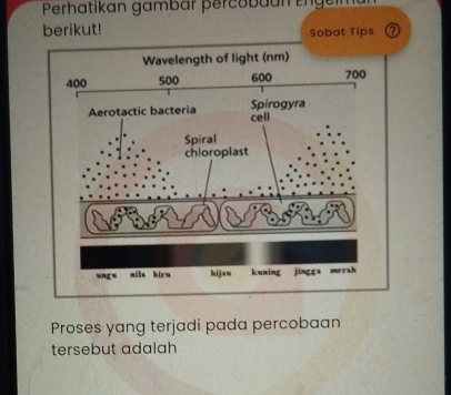 Perhatikan gambar percobaun Eng 
berikut! Sobat Tips ⑦ 
Proses yang terjadi pada percobaan 
tersebut adalah