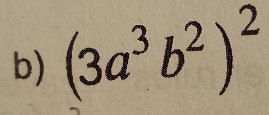 (3a^3b^2)^2