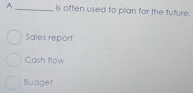 A _is often used to plan for the future.
Sales report
Cash flow
Budget