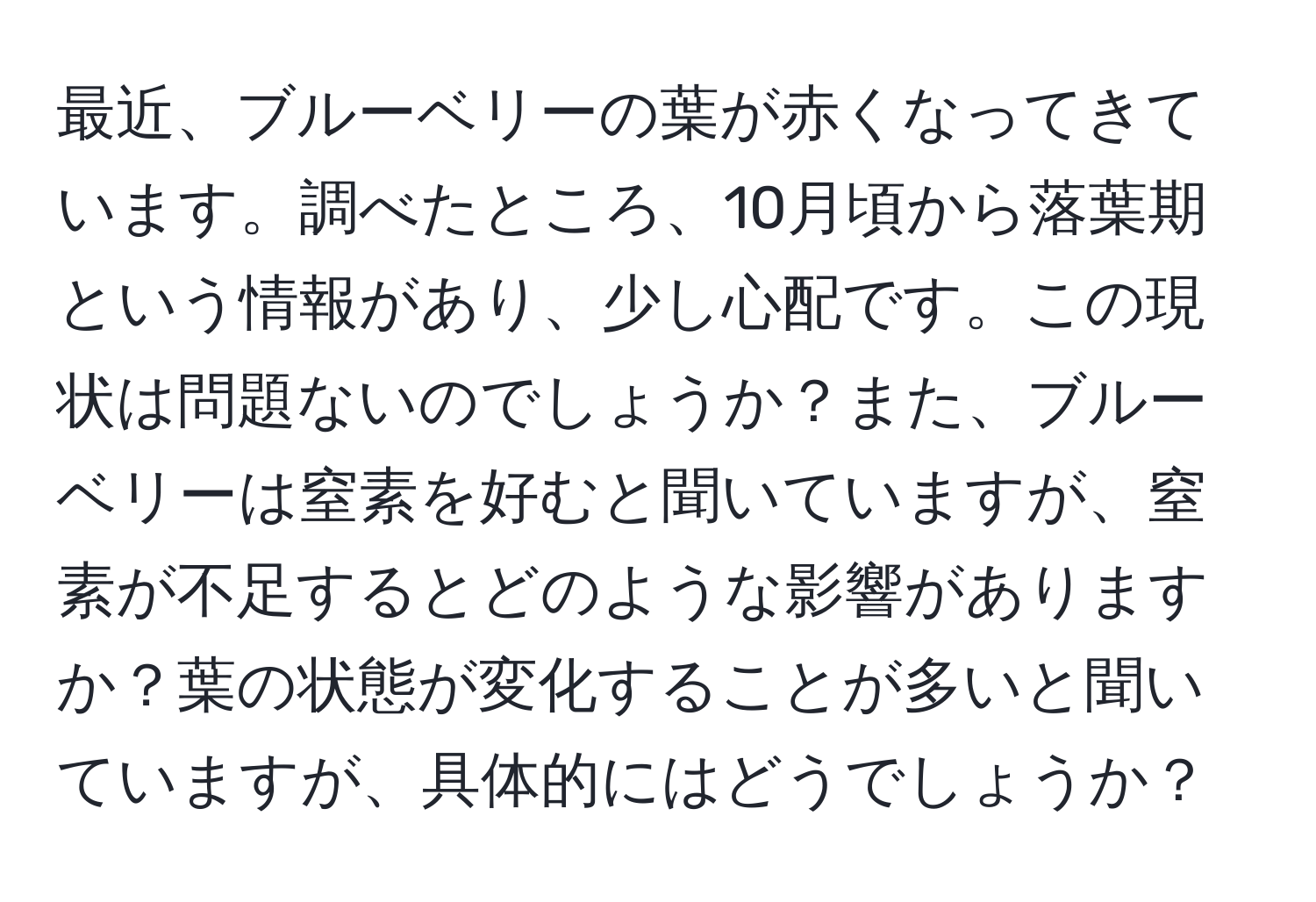 最近、ブルーベリーの葉が赤くなってきています。調べたところ、10月頃から落葉期という情報があり、少し心配です。この現状は問題ないのでしょうか？また、ブルーベリーは窒素を好むと聞いていますが、窒素が不足するとどのような影響がありますか？葉の状態が変化することが多いと聞いていますが、具体的にはどうでしょうか？