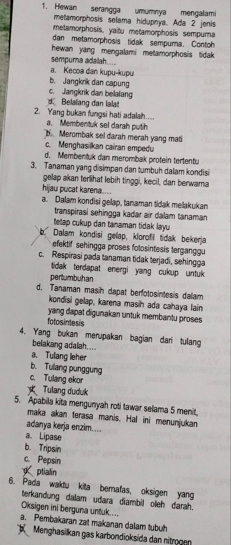 Hewan serangga umumnya mengalami
metamorphosis selama hidupnya. Ada 2 jenis
metamorphosis, yaitu metamorphosis sempurna
dan metamorphosis tidak sempurna. Contoh
hewan yang mengalami metamorphosis tidak 
sempurna adalah....
a. Kecoa dan kupu-kupu
b. Jangkrik dan capung
c. Jangkrik dan belalang
d. Belalang dan lalat
2. Yang bukan fungsi hati adalah...
a. Membentuk sel darah putih
b. Merombak sel darah merah yang mati
c. Menghasilkan cairan empedu
d. Membentuk dan merombak protein tertentu
3. Tanaman yang disimpan dan tumbuh dalam kondisi
gelap akan terlihat lebih tinggi, kecil, dan berwarna
hijau pucat karena....
a. Dalam kondisi gelap, tanaman tidak melakukan
transpirasi sehingga kadar air dalam tanaman
tetap cukup dan tanaman tidak layu
b. Dalam kondisi gelap, klorofil tidak bekerja
efektif sehingga proses fotosintesis terganggu
c. Respirasi pada tanaman tidak terjadi, sehingga
tidak terdapat energi yang cukup untuk
pertumbuhan
d. Tanaman masih dapat berfotosintesis dalam
kondisi gelap, karena masih ada cahaya lain
yang dapat digunakan untuk membantu proses 
fotosintesis
4. Yang bukan merupakan bagian dari tulang
belakang adalah....
a. Tulang leher
b. Tulang punggung
c. Tulang ekor
Tulang duduk
5. Apabila kita mengunyah roti tawar selama 5 menit,
maka akan terasa manis. Hal ini menunjukan
adanya kerja enzim....
a. Lipase
b. Tripsin
c. Pepsin
d ptialin
6. Pada waktu kita bernafas, oksigen yang
terkandung dalam udara diambil oleh darah.
Oksigen ini berguna untuk....
a. Pembakaran zat makanan dalam tubuh
b  Menghasilkan gas karbondioksida dan nitrogen