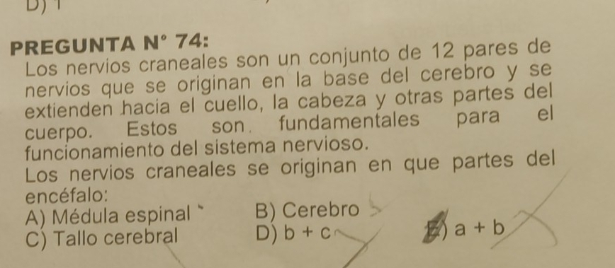 PREGUNTA N° 74 .
Los nervios craneales son un conjunto de 12 pares de
nervios que se originan en la base del cerebro y se
extienden hacia el cuello, la cabeza y otras partes del
cuerpo. Estos son fundamentales para el
funcionamiento del sistema nervioso.
Los nervios craneales se originan en que partes del
encéfalo:
A) Médula espinal " B) Cerebro
C) Tallo cerebral D) b+c a+b