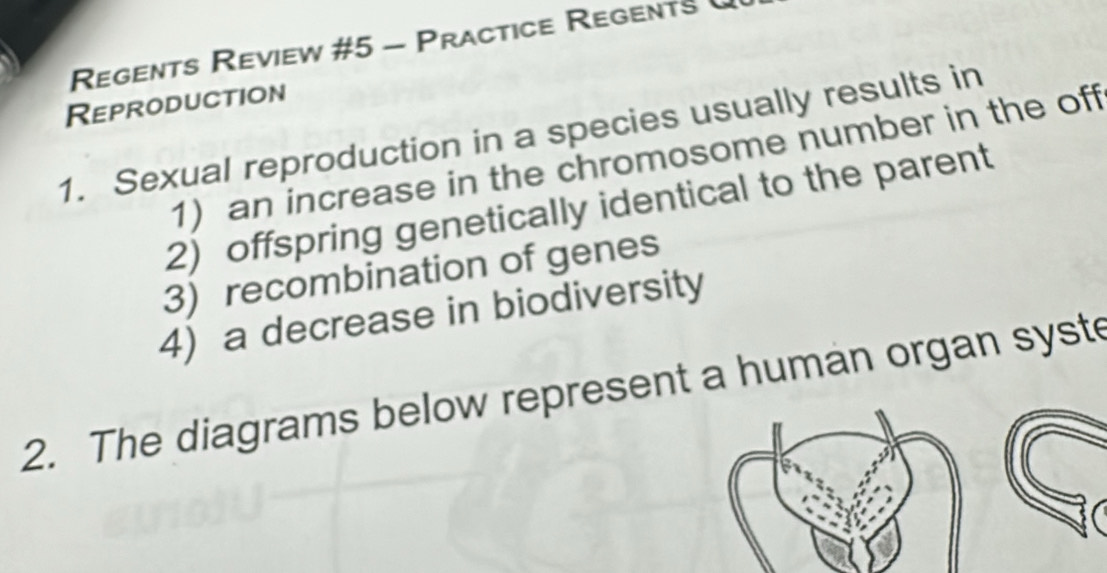 Regents Review #5 - Practice Regents 
Reproduction 
1. Sexual reproduction in a species usually results in 
1) an increase in the chromosome number in the off 
2) offspring genetically identical to the parent 
3) recombination of genes 
4) a decrease in biodiversity 
2. The diagrams below represent a human organ syste