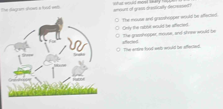 What would most likely rappen 
amount of grass crastically decreased?
The diagram shows a food web.
The mouse and grasshopper would be affected.
Only the rabbit would be affected.
The grasshopper, mouse, and shrew would be
affectled.
The entire food web would be affected.
Shaka
Mouse
a Rabbl