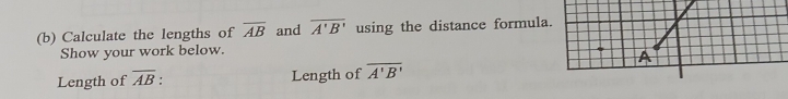 Calculate the lengths of overline AB and overline A'B' using the distance formula 
Show your work below. 
Length of overline AB : Length of overline A'B'