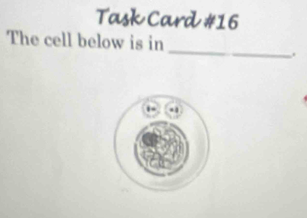 Task Card #16 
_ 
The cell below is in 
.