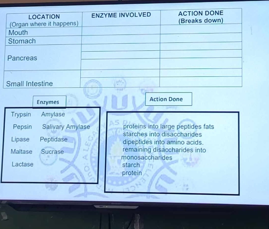 Enzymes Action Done 
Trypsin Amylase 
Pepsin Salivary Amylase proteins into large peptides fats 
starches into disaccharides 
Lipase Peptidase dipeptides into amino acids. 
Maltase Sucrase remaining disaccharides into 
monosaccharides 
Lactase starch 
protein