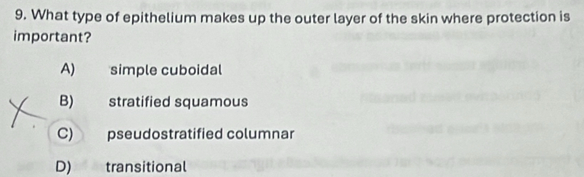 What type of epithelium makes up the outer layer of the skin where protection is
important?
A) simple cuboidal
B) stratified squamous
C) pseudostratified columnar
D) transitional