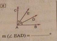 2
m(∠ EAD)=
_。