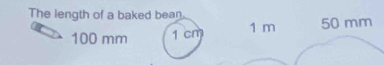 The length of a baked bean.
100 mm 1 cm 1 m 50 mm