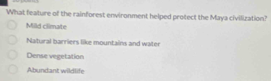 What feature of the rainforest environment helped protect the Maya civilization?
Mild climate
Natural barriers like mountains and water
Dense vegetation
Abundant wildlife