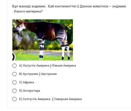 Бул жануар зндемик. Кай континенттікі ‖ Данное животное - эндемик
, Какого материка?
А) Онτγсτίκ Америка ‖| ΙОжная Америка
Β) Аустралия || Австралия
C) Αфриκа
D) Антарκτида
Ε) Солтγстίκ Америка ‖| Северная Америка