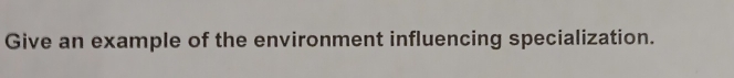 Give an example of the environment influencing specialization.