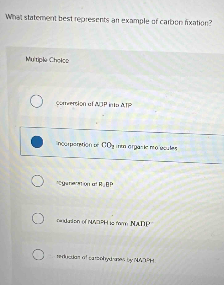 What statement best represents an example of carbon fixation?
Multiple Choice
conversion of ADP into ATP
incorporation of CO_2 into organic molecules
regeneration of RuBP
oxidation of NADPH to form NADP +
reduction of carbohydrates by NADPH