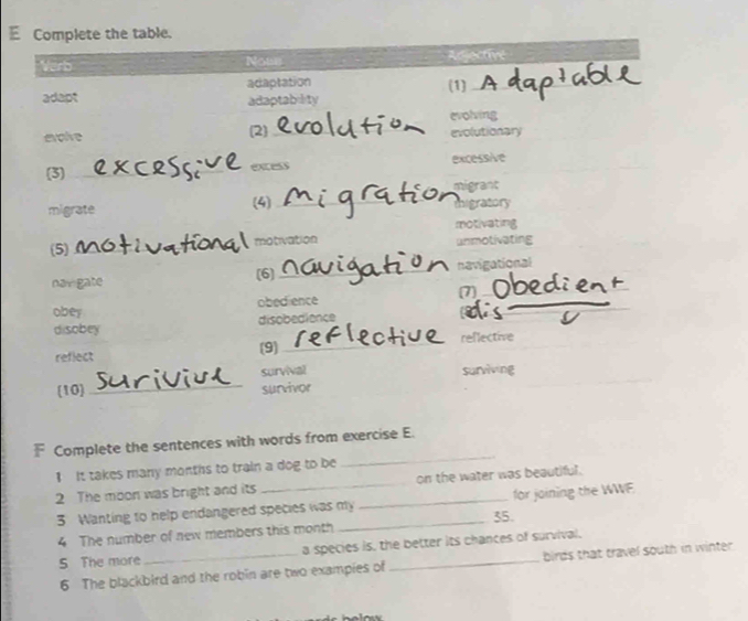 Complete the table.
Verb Nows Adjective
adapt adaptation (1)_
adaptablity
evolving
evolve (2) _evolutionary
(3) _excess excessive
migrant
(4)_
migrate migratory
motivating
(5) _motivation unmotivating
navigate (6)_ navigational
obey obedience (7)
disobey disobedience
ois
reflect (9) _reflective
(10) _survival
surviving
survivor
F Complete the sentences with words from exercise E.
I It takes many months to train a dog to be
_
2 The moon was bright and its __on the water was beautiful.
3 Wanting to help endangered species was my for joining the WWF
35.
4 The number of new members this month
S The more_ a species is, the better its chances of survival.
6 The blackbird and the robin are two exampies of birds that travel south in winter