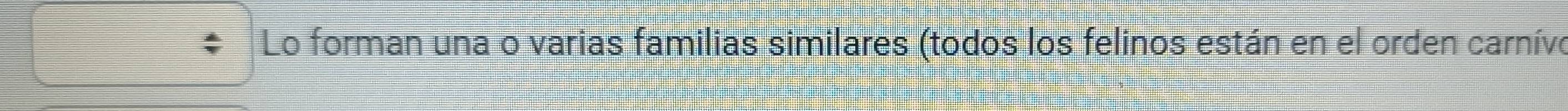 Lo forman una o varias familias similares (todos los felinos están en el orden carnívo
