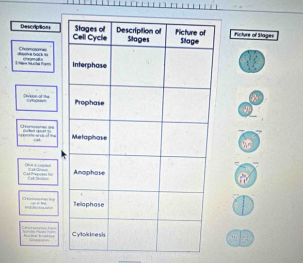 icture of Stages 
_