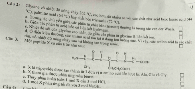 Glycine có nhiệt độ nóng chây (64°C) hay chất béo tristearin (72°C).
^circ C) , palmitic acid 262°C , cao hơn rắt nhiều so với các chất như acid béo: lauric acid (44
a. Tương tác chủ yếu giữa các phân tử chất béo
b. Giữa các phân tử acid béo có liên kết hydrogen.
thường là tương tác van der Waals.
c. Nhiệt độ sối của glycine cao nhất, do giữa các phân tử glycine là liên kết ion.
d. Ở điều kiện thường, các amino acid tôn tại ở dạng ion lưỡng cực. Vì vậy, các amino acid là các chất
rấn, có nhiệt độ nóng chây cao và không tan trong nước.
Câu 3: Một peptide X có cấu trúc như sau:
a. X là tripeptide được thành từ 3 đơn vị α-amino acid lần lượt là: Ala, Glu và Gly.
b. X tham gia được phân ứng màu biuret.
c. Thủy phân hoàn toàn 1 mol X cần 3 mol HCl.
d. 1 mol X phản ứng tối đa với 3 mol NaOH.
Câu 4: Chú