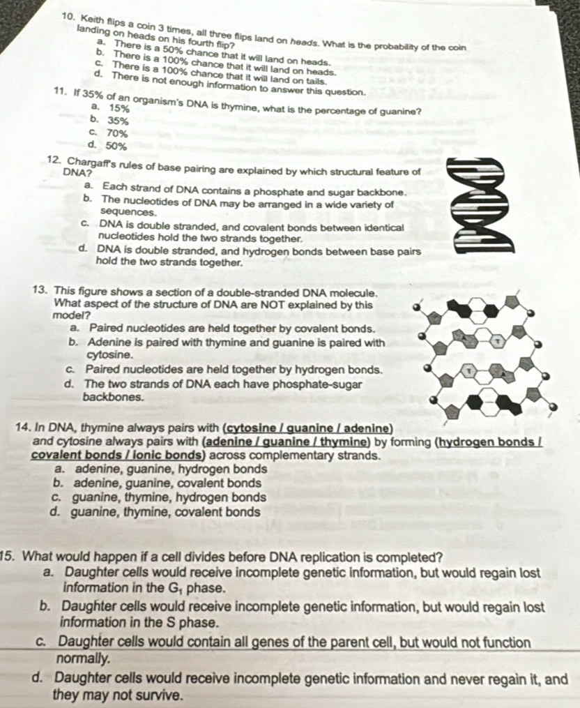 Keith flips a coin 3 times, all three flips land on head's. What is the probability of the coin
landing on heads on his fourth flip?
a. There is a 50% chance that it will land on heads.
b. There is a 100% chance that it will land on heads.
c. There is a 100% chance that it will land on tails.
d. There is not enough information to answer this question.
11. If 35% of an organism's DNA is thymine, what is the percentage of guanine?
a. 15%
b. 35%
c. 70%
d. 50%
12. Chargaff's rules of base pairing are explained by which structural feature of
DNA?
a. Each strand of DNA contains a phosphate and sugar backbone.
b. The nucleotides of DNA may be arranged in a wide variety of
sequences.
c. DNA is double stranded, and covalent bonds between identical
nucleotides hold the two strands together.
d. DNA is double stranded, and hydrogen bonds between base pairs
hold the two strands together.
13. This figure shows a section of a double-stranded DNA molecule.
What aspect of the structure of DNA are NOT explained by this
model?
a. Paired nucleotides are held together by covalent bonds.
b. Adenine is paired with thymine and guanine is paired with
cytosine.
c. Paired nucleotides are held together by hydrogen bonds.
d. The two strands of DNA each have phosphate-sugar
backbones.
14. In DNA, thymine always pairs with (cytosine / guanine / adenine)
and cytosine always pairs with (adenine / guanine / thymine) by forming (hydrogen bonds /
covalent bonds / ionic bonds) across complementary strands.
a. adenine, guanine, hydrogen bonds
b. adenine, guanine, covalent bonds
c. guanine, thymine, hydrogen bonds
d. guanine, thymine, covalent bonds
15. What would happen if a cell divides before DNA replication is completed?
a. Daughter cells would receive incomplete genetic information, but would regain lost
information in the G_1 phase.
b. Daughter cells would receive incomplete genetic information, but would regain lost
information in the S phase.
c. Daughter cells would contain all genes of the parent cell, but would not function
normally.
d. Daughter cells would receive incomplete genetic information and never regain it, and
they may not survive.