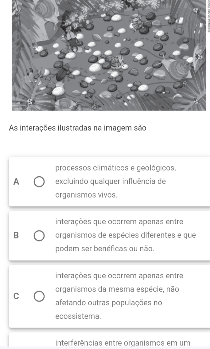 As interações ilustradas na imagem são
processos climáticos e geológicos,
A excluindo qualquer influência de
organismos vivos.
interações que ocorrem apenas entre
B organismos de espécies diferentes e que
podem ser benéficas ou não.
interações que ocorrem apenas entre
organismos da mesma espécie, não
C
afetando outras populações no
ecossistema.
interferências entre organismos em um