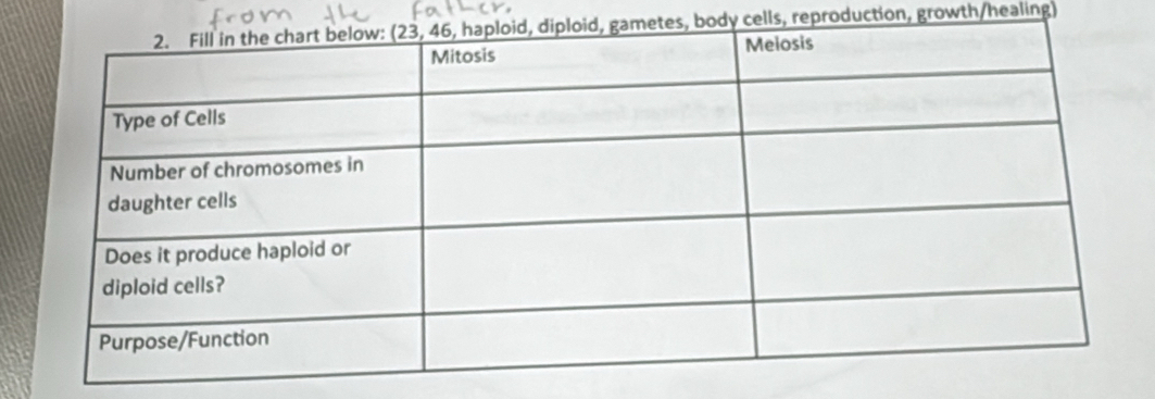 dy cells, reproduction, growth/healing)