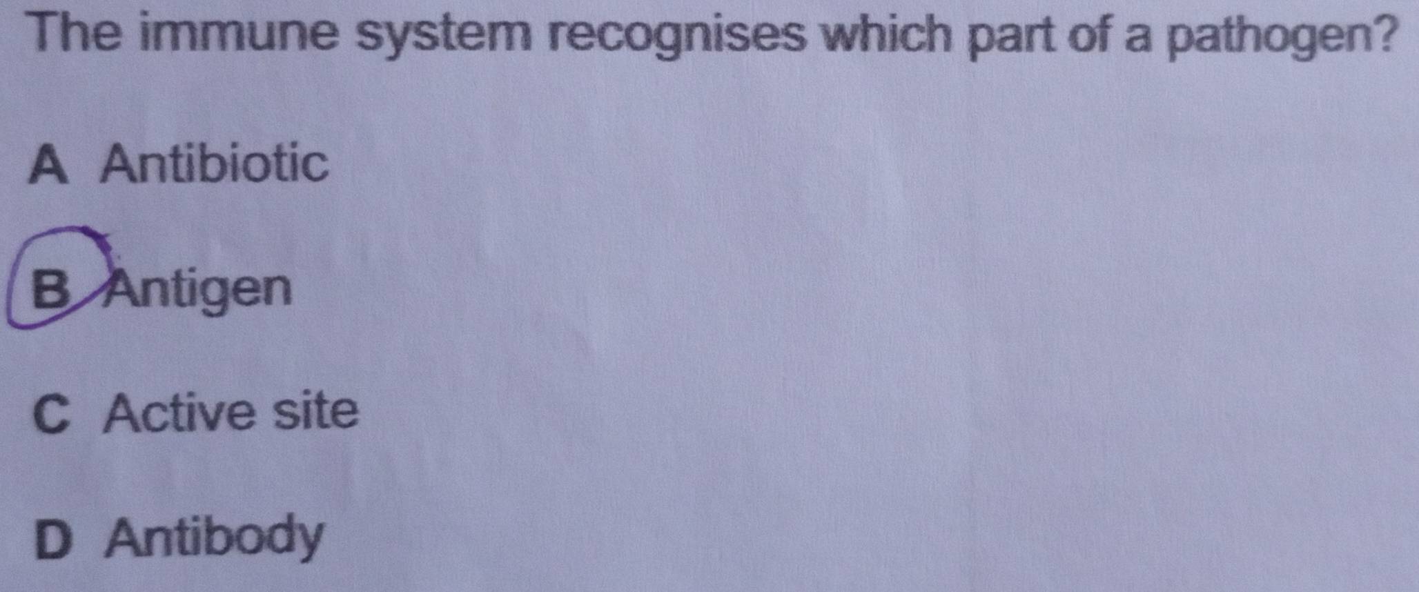 The immune system recognises which part of a pathogen?
A Antibiotic
B Antigen
C Active site
D Antibody