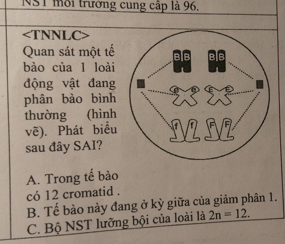 NS1 môi trưởng cung cấp là 96.

Quan sát một tế
bào của 1 loài
động vật đang
phân bào bình
thường (hình
vẽ). Phát biểu
sau đây SAI?
A. Trong tế bào
có 12 cromatid .
B. Tế bào này đang ở kỳ giữa của giảm phân 1.
C. Bộ NST lưỡng bội của loài là 2n=12.