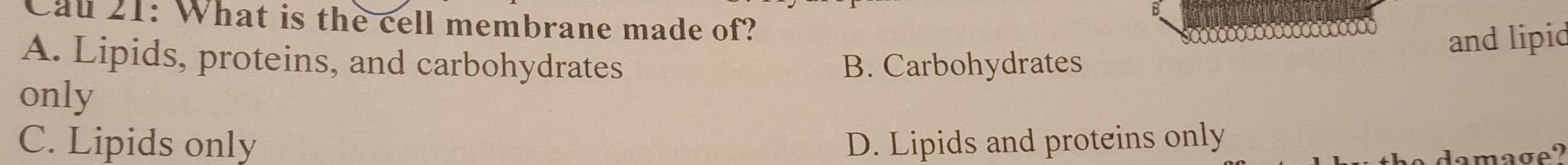 Cal 21: What is the cell membrane made of?
and lipid
A. Lipids, proteins, and carbohydrates B. Carbohydrates
only
C. Lipids only D. Lipids and proteins only
da m age?